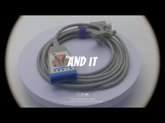 PH M1668A EKG-Stammkabel 989803145061 EKG-Stammkabel mit 12-poligem Stecker