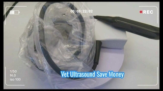 Mindray 75L50EAV Tierarzt-Ultraschallsonde